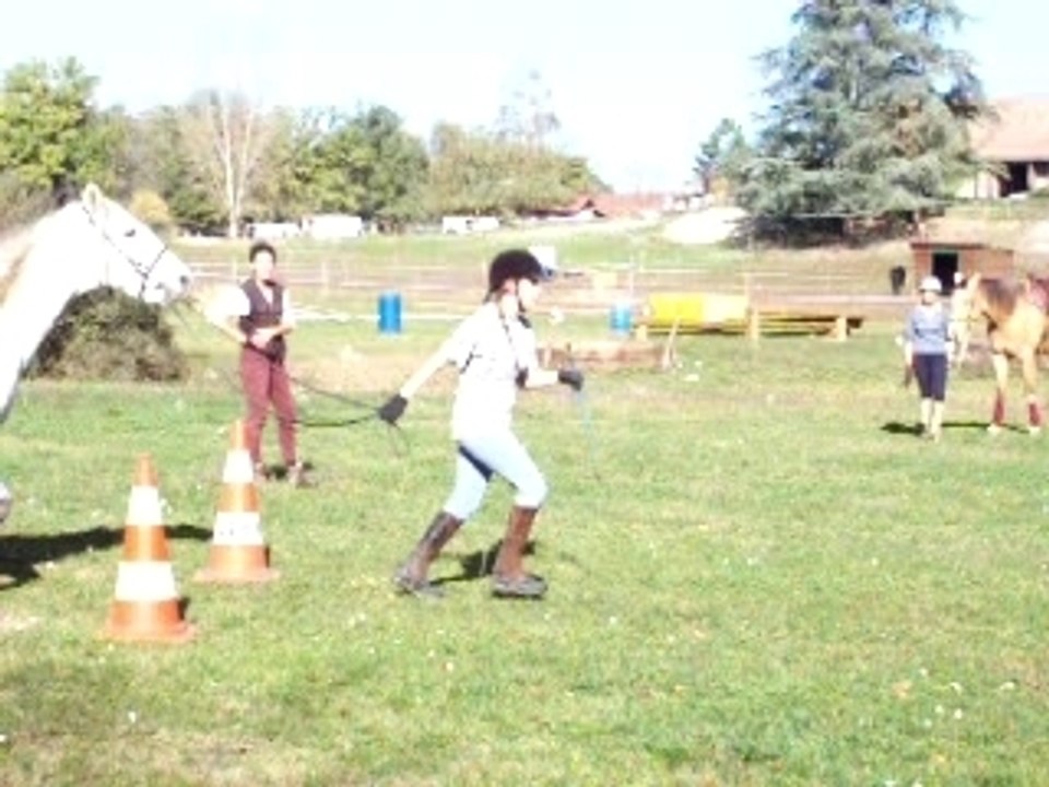 Branches basses Gim EM