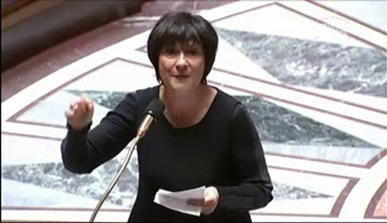 Accessibilité universelle : réponse de Marie-Arlette Carlotti à l'Assemblée Nationale - 11 février 2014
