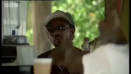 You Probably Don't Party As Hard As These Monkeys