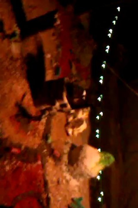 VIDEO0013