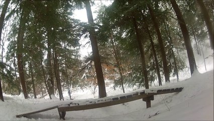 FREERIDE SNOWSKATING AT GREENWOOD CONSERVATION AREA