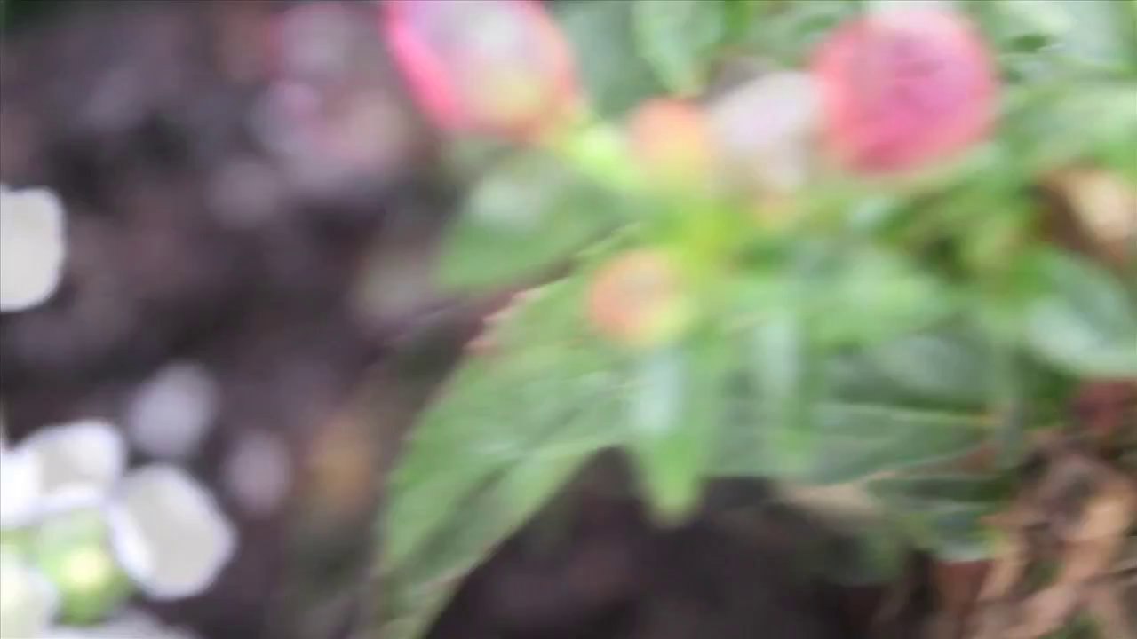 Wende - Regen  /Full Film/Ganzer Film/Complete Movie