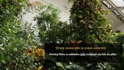 instrukcja obslugi pralki beko volumax 6