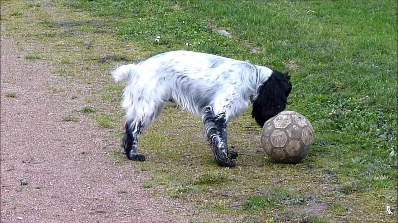 imbert joue au ballon