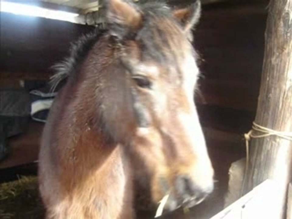 fanny et  moi_0001