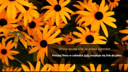 Download Video: poradnik zarabianie przez internet