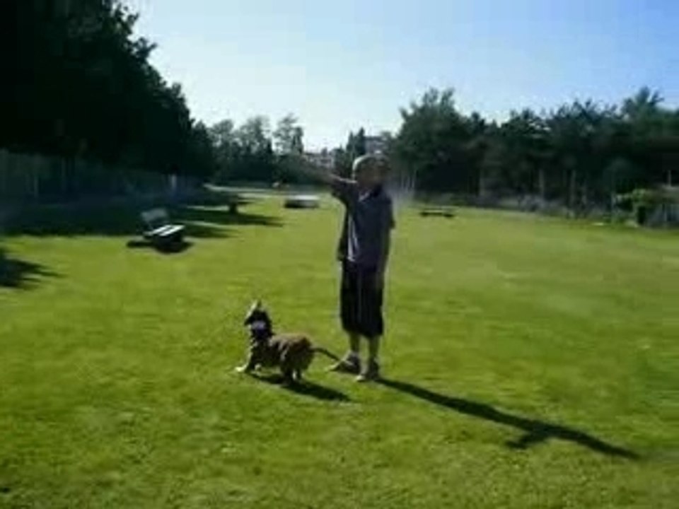 Au parc de la bourdonette