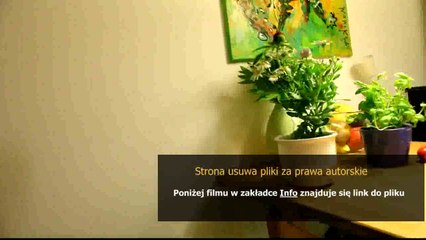 poradnik na tancerza ostrzy margonem