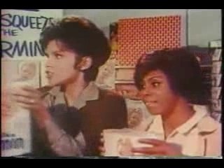 Charmin Toilet Paper 1970s T.V. Ad