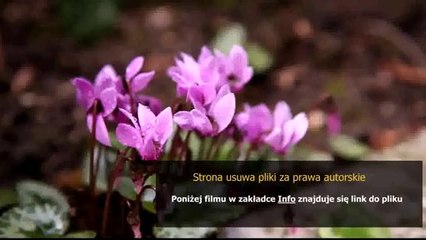 lol poradnik cho gath