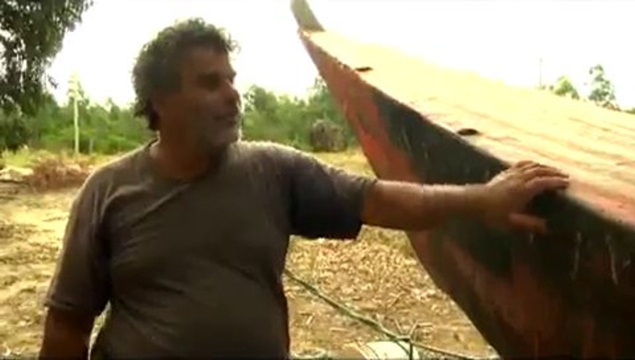 Colonia Wilson y el náufrago