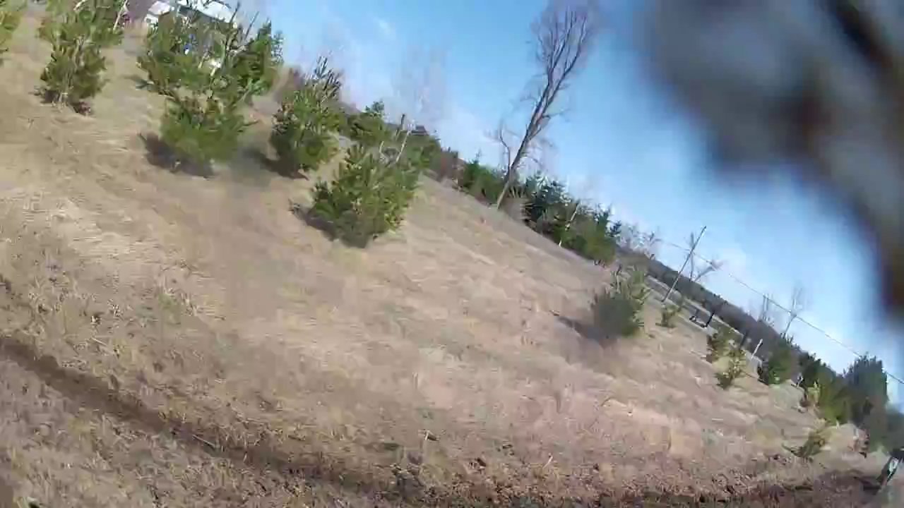 Two stroke vs Four stroke - Dirt Bike Trail Riding