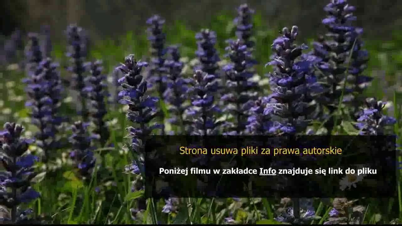 instrukcja ruchu i eksploatacji sieci dystrybucyjnej tauron