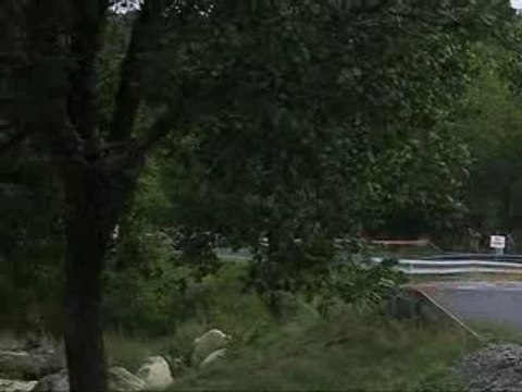 Rallye Des Vallées 2006 beraud clio grn williams