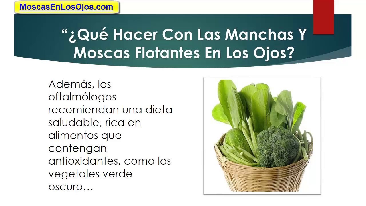 Manchas y Moscas Flotantes En Los Ojos: Como Combatir Las Moscas Flotantes o Manchas En Los Ojos