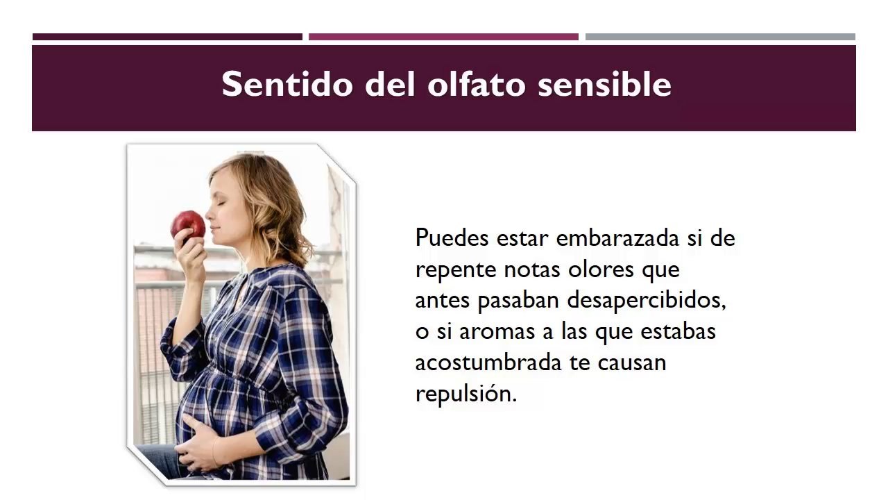 Primeros Sintomas De Embarazo : Cuales Son Los Primeros Sintomas De Embarazo Que Puedes Tener