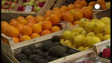 La UE aprobará una nueva variedad de maíz transgénico