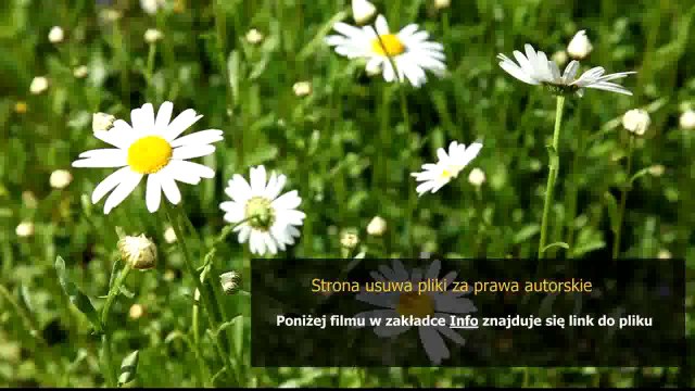 instrukcja obslugi kuchenki amica comfort i