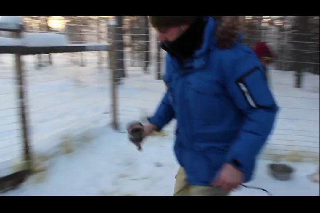 Séjour chez Laponie Mush