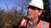 Tempête Qumaira : Réparation des lignes électriques (Vendée)