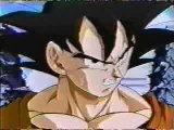 Majin vegeta vs goku