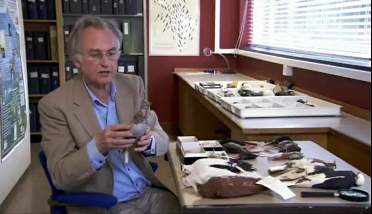 The Genius of Charles Darwin - Episode 1-Life, Darwin and Everything