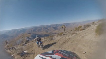 Hitting A Yucca Tree On A Honda CRF450R Dirt Bike