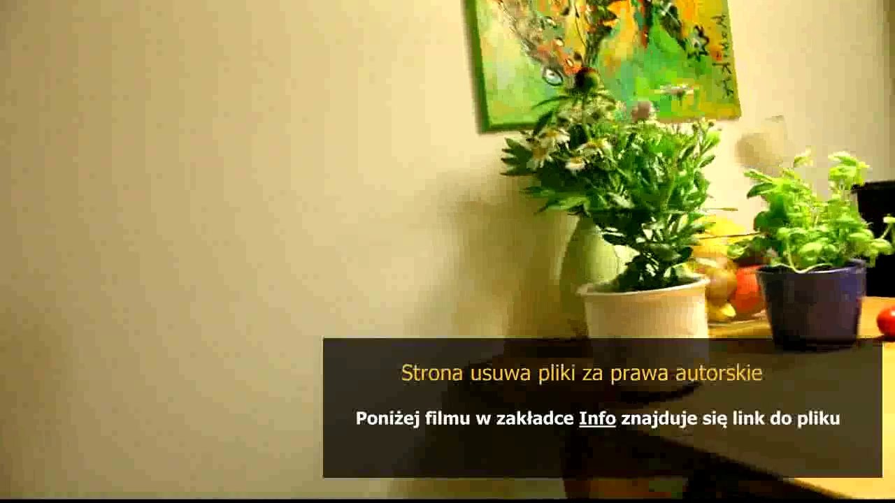 poradnik dla zwiadowcy aion