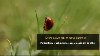 gra james bond 007 bloodstone poradnik