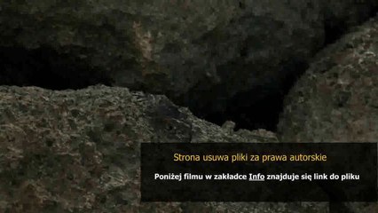 instrukcja obslugi peugeot 407 sw po polsku