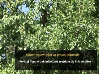 instrukcja obslugi maszyny do szycia