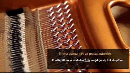 instrukcja napraw mf 255 pdf