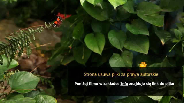 instrukcja obslugi pralki amica tl 843