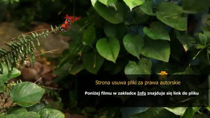 samsung ce0168 user manual pdf