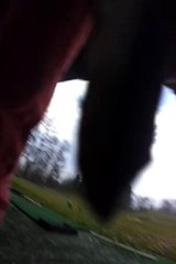 practice février 2014 vue arrière