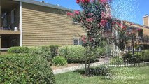 Point Natomas Apartments in Sacramento, CA - ForRent.com