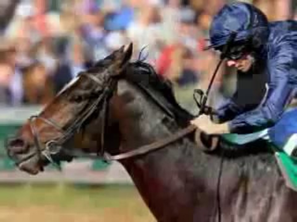 2011 Breeders Cup Winners