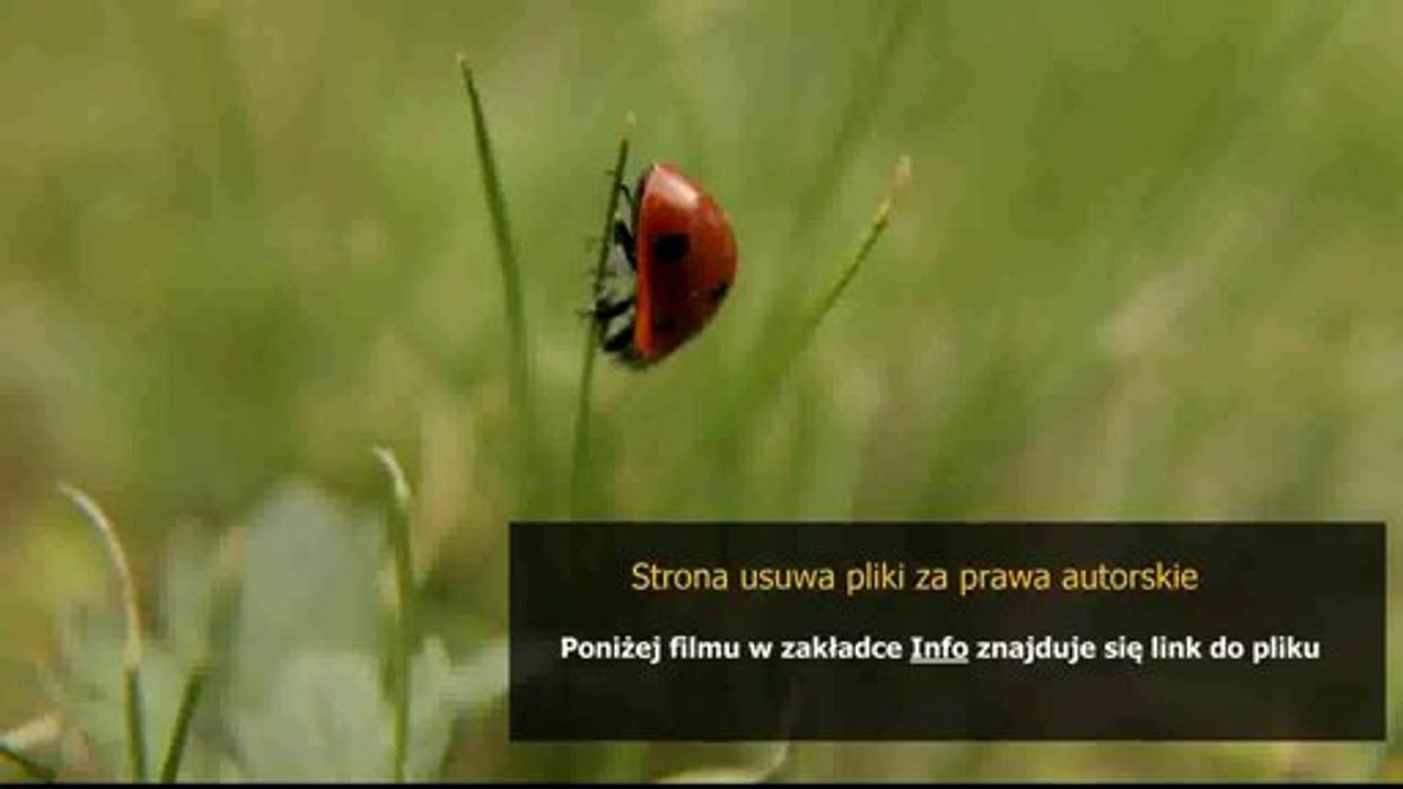 kupon freebet