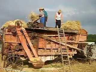 04 Fête de la moisson Valennes (2009) Christine