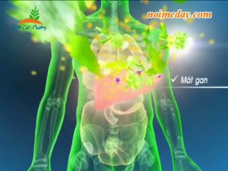 Thuốc chữa bệnh nổi mề đay mãn tính hiệu quả