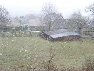 Neige aux chants d'oiseaux