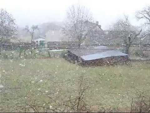 Neige aux chants d'oiseaux