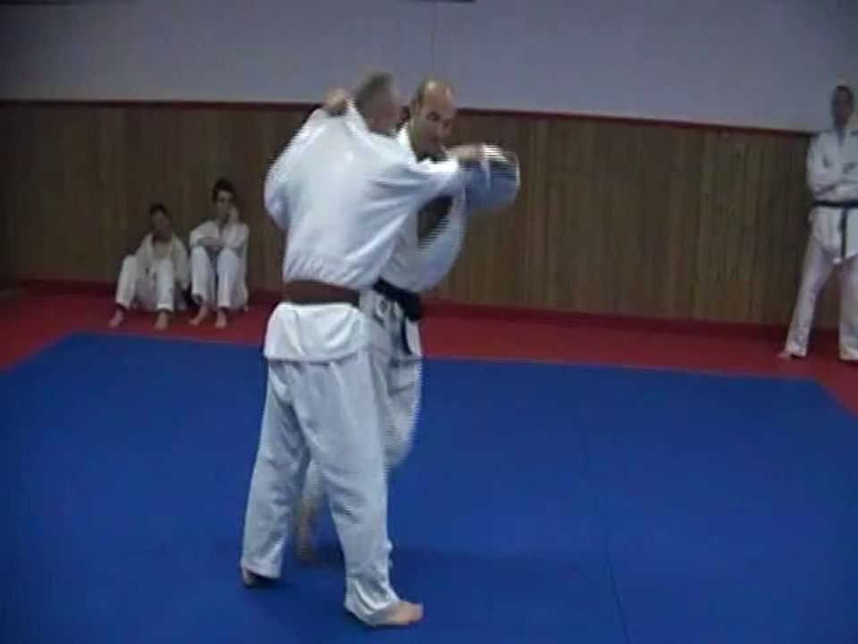 Jujitsu Rollin Philippe