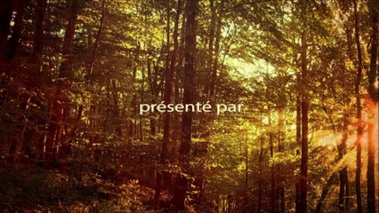 Loto SC Cagnes sur Mer 9 février 2014