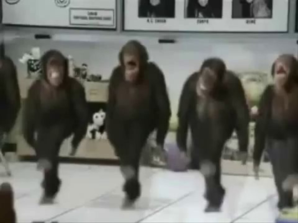 מי שמאמין לא מפחד - ריקוד הקופים