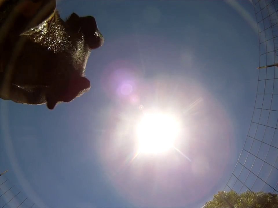 Recording Camera Falling From Skydiving Plane Right In a Pig Pen