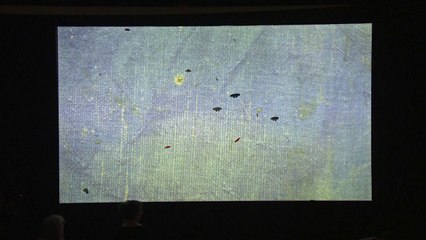 Hors Pistes 2014 : Entretien avec Ariane Michel