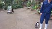 Penguin Chasing After Zookeeper Is The Cutest Thing Ever