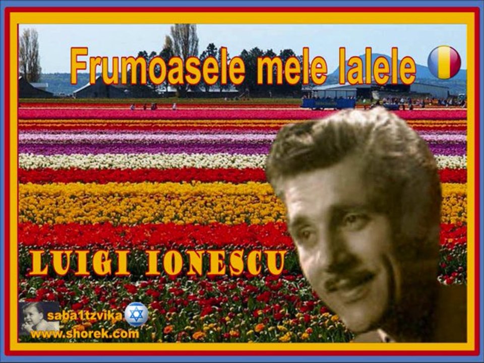 Luigi Ionescu Frumoasele-mele-lalele