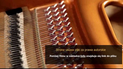 instrukcja do samsunga 6800